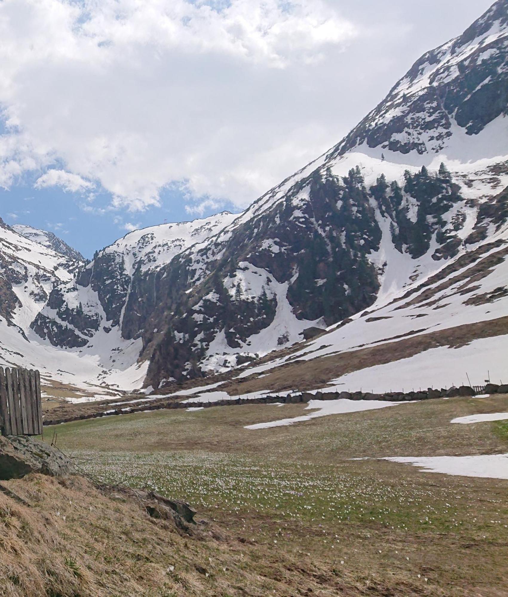 Landhaus Susanne Neustift im Stubaital Bagian luar foto